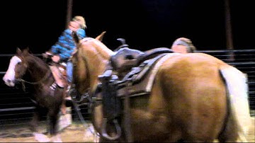 Snort N Avenger - Avery - 11/7/12 sorting practice - warm up - lope, stops 2 - Valley View Ranch