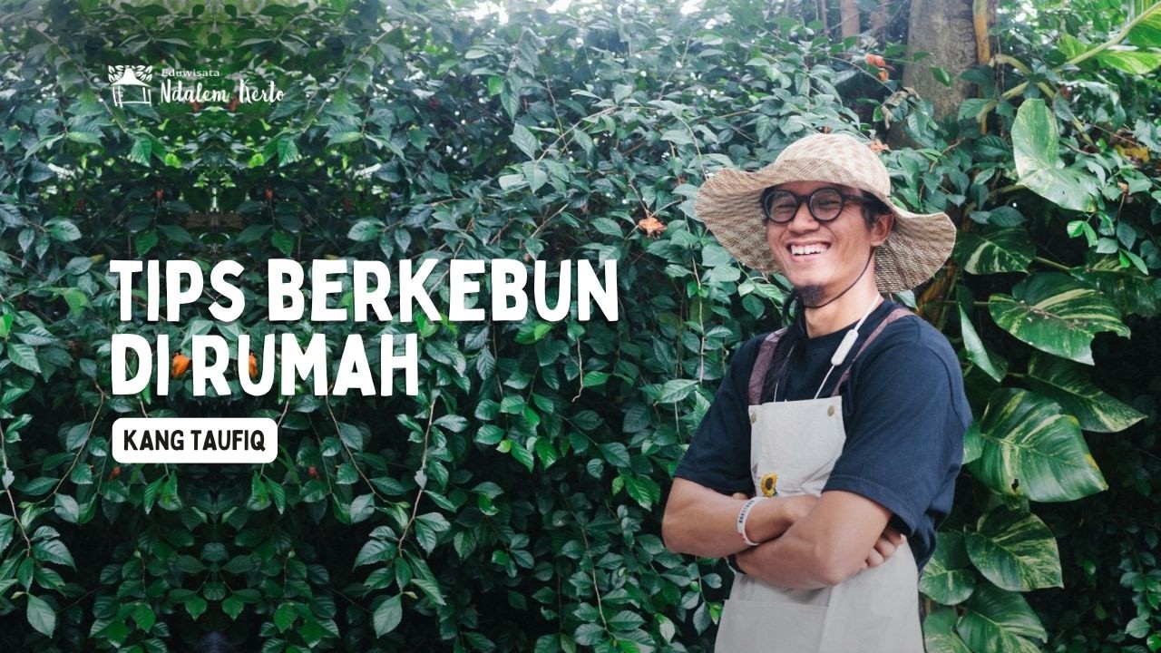 Tips Berkebun di Rumah - Kelas Online with Kang Taufiq