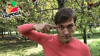 7 Заблуждений Сыроедов 7 Заблуждений Сыроедов