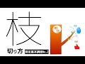 【剪定基本講座No.2】枝の剪定方法【庭木の剪定】