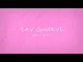 Gavin Haley - Say Goodbye [Lyric Video]