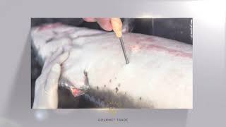 The Art Of Caviar An Exclusive Look At Gourmet Trades Premium Production Process