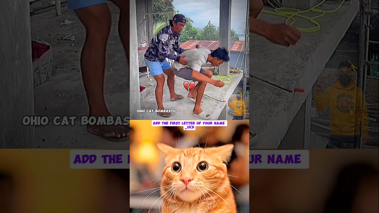 Latest Title & Thumbnail