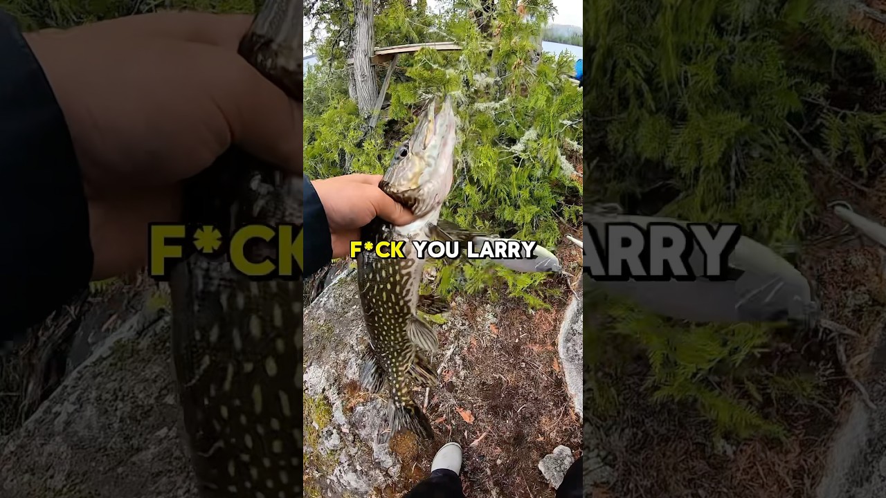 Fishing with a GLIDEBAIT for $50 to win a bet… 