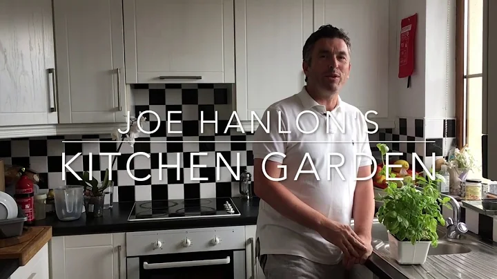Joe Hanlon's kitchen garden - Part 1: Basil
