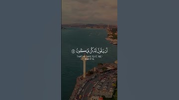 ماهر المعيقلي اجمل حالات واتس اب دينية سورة يس Mahir Al Muaqaly Surat Yasin