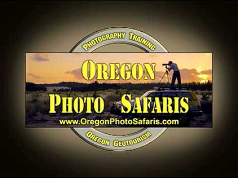 Oregon Photo Safaris