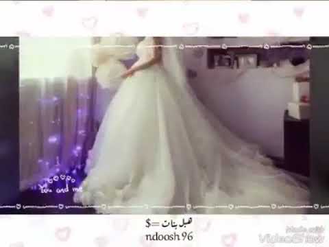 أنس كريم حلم الطرحة 