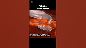 Artificial insemination in cow #ArtificialInsemination #DairyFarming #CattleBreeding #Livestock