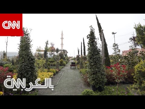 شارع خاص بالزهور في العراق يضم أكثر من 1000 نوع من الأزهار