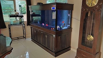 Man สวนผัก 32 - งานสลับที่ตู้ปลา 60/2 ชั้นชุดเก่าออก เฟอร์ 72 เข้าแทนพร้อมทำระบบ O4FS จบลงปลา Set 3