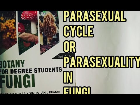 Parasexual Cycle in Fungi msc Parasexuality in Fungi Parasexual Cycle or Parasexuality