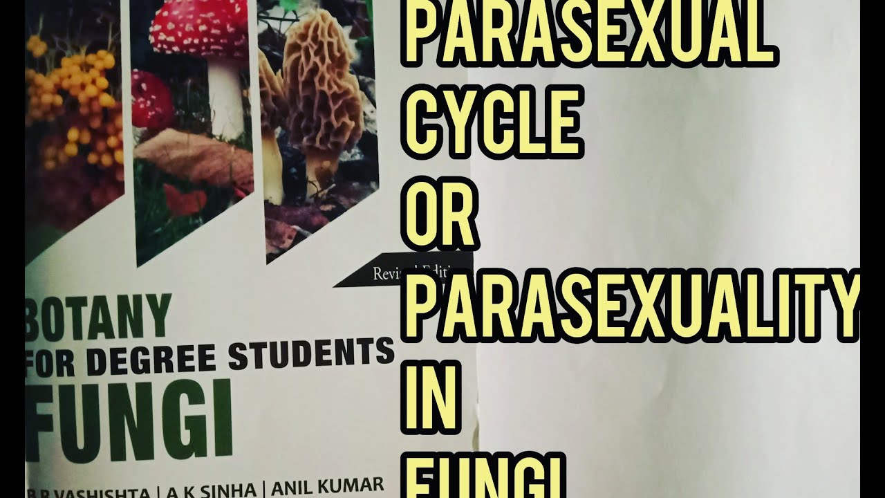 Parasexual Cycle in Fungi msc Parasexuality in Fungi Parasexual Cycle ...