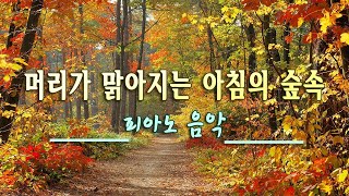 밝은 아침을 위한 힐링음악 🌲하루10분 만병을 치료 해주는 힐링 명상 기치료 음악 및 영상 - 아침음악, 힐링음악, 명상음악, 스트레스해소음악