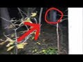 Best Paranormal Evidence I've Ever Caught On Camera