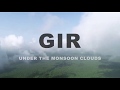 #GIPL Gir National Park (Courtesy - Wildlife Division, Sasan -Gir, Gujarat Forest Department)