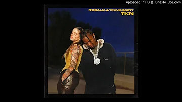 Rosalia ft. Travis Scott - TKN (Super Clean Version)