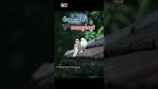 #ចែករំលែកចំណេះដឹង #លោគ្រូឃីមសុខហេង #pageកវីទឹកតែ #កវីទឹកតែ🥰✍🏻