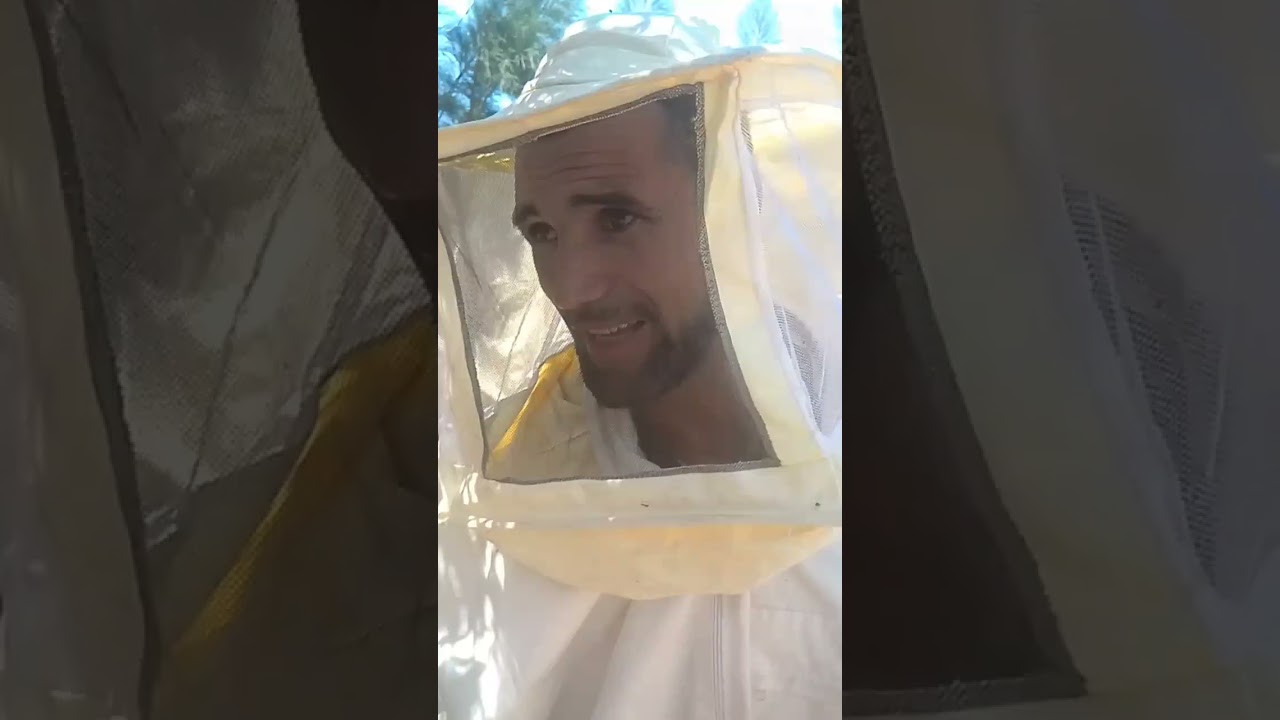 كيف تستفيد من طرد نحل متأخر فيه 8 إطارات نهاية مايو وتحصل على عسل نقي هذا الموسم؟