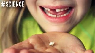 Düýn Düýşümde Dişim Döküldi