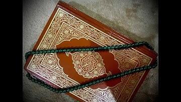 سورة النبأ الشيخ ميثم التمار