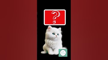 I am a coat that you put on when I am wet. What am I? #shorts