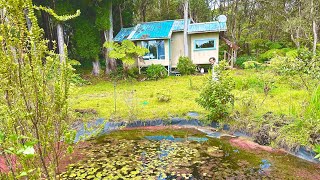 Kolapa Ministries Hawaii Cottage Not For Sale ( Miracle Happened)