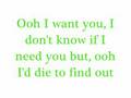 I Want You-Savage Garden with lyrics