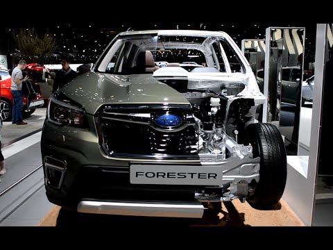 2019 New Subaru Forester Exterior and Interior
