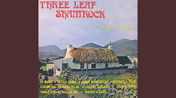 Three Leaf Shamrock