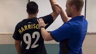 Dynamic Labral Shear Test