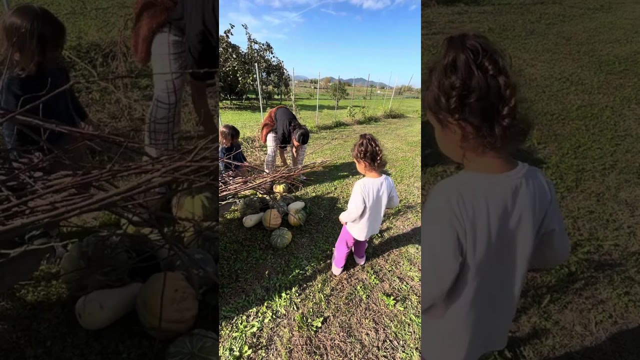 Video လေးမှားတင်လိုက်လို့ အပြည့်မပါသွားဘူး ပီလာရဲ့ အမွှေအနှောက် က အခုမှ တကယ်ကြည့်ရမှာ😂😂