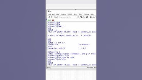 How to remove IP address from CISCO Router? CCNA | CCNP | Networkforyou