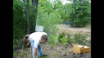 Installing feral hive pt. 1   4-19-11