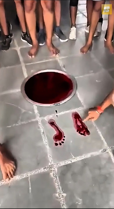 🔴Tes Aneh Buat Masuk Tentara