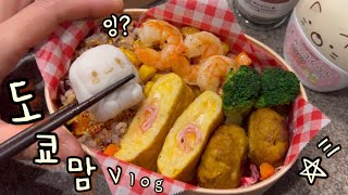 도쿄일상🗼 라이스페이퍼 피자🍕참마 계란말이 도시락🍱 로봇조립🤖 장보고 일본인 친구랑 점심 먹던 일상기록📝