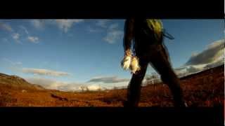 Rypejakt 2012 Trailer/ Teaser - Grouse hunting 2012 trailer/ teaser