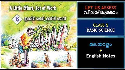 Let us Assess | A Little Effort, Lot of Work | Class 5 | Basic Science | Chapter 6 | ഇത്തിരി ശക്തി..