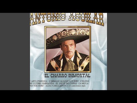 Como El Palo Blanco