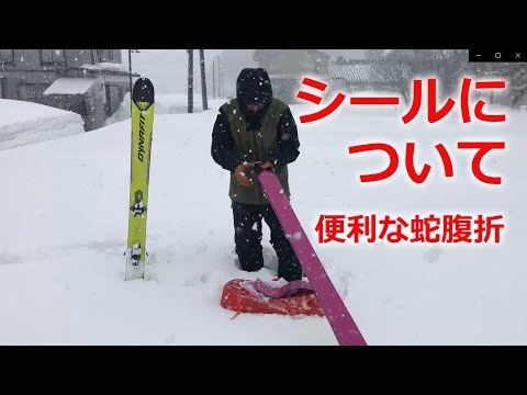Gecko バックカントリー　スキーシール　クライミング用 Gecko バックカントリー スキーシール クライミング用 Gecko