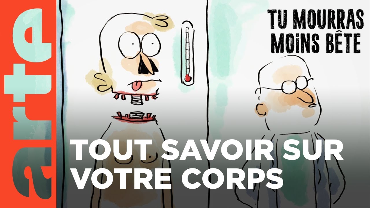 Le corps humain (partie 1) | Compilation | Tu mourras moins bête | ARTE