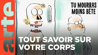Le corps humain (partie 1) | Compilation | Tu mourras moins bête | ARTE