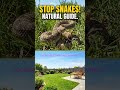 How to Keep Snakes Out of Your Yard NATURALLY! 🐍❌ #Shorts