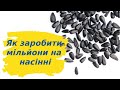 Як заробити мільйони на насінні