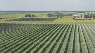 Solar energy development company looks to build solar farm in Clinton County