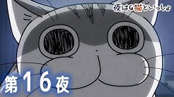 アニメ 夜は猫といっしょ チャンネル Youtube
