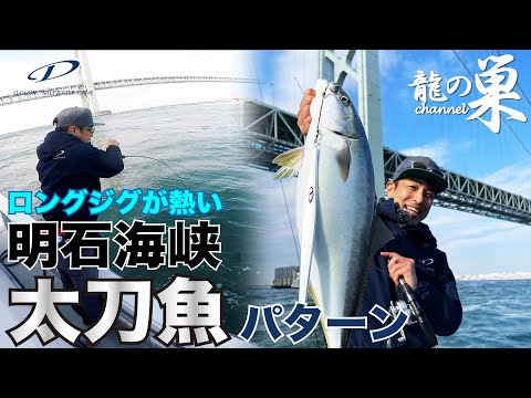 D-claw ジグ　セット　明石 D-claw ジグ セット 明石 楽天市場】明石地域遊漁船 船長開発