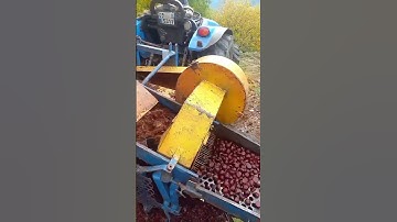 Effortless Chestnut Shell Removal with This Machine!