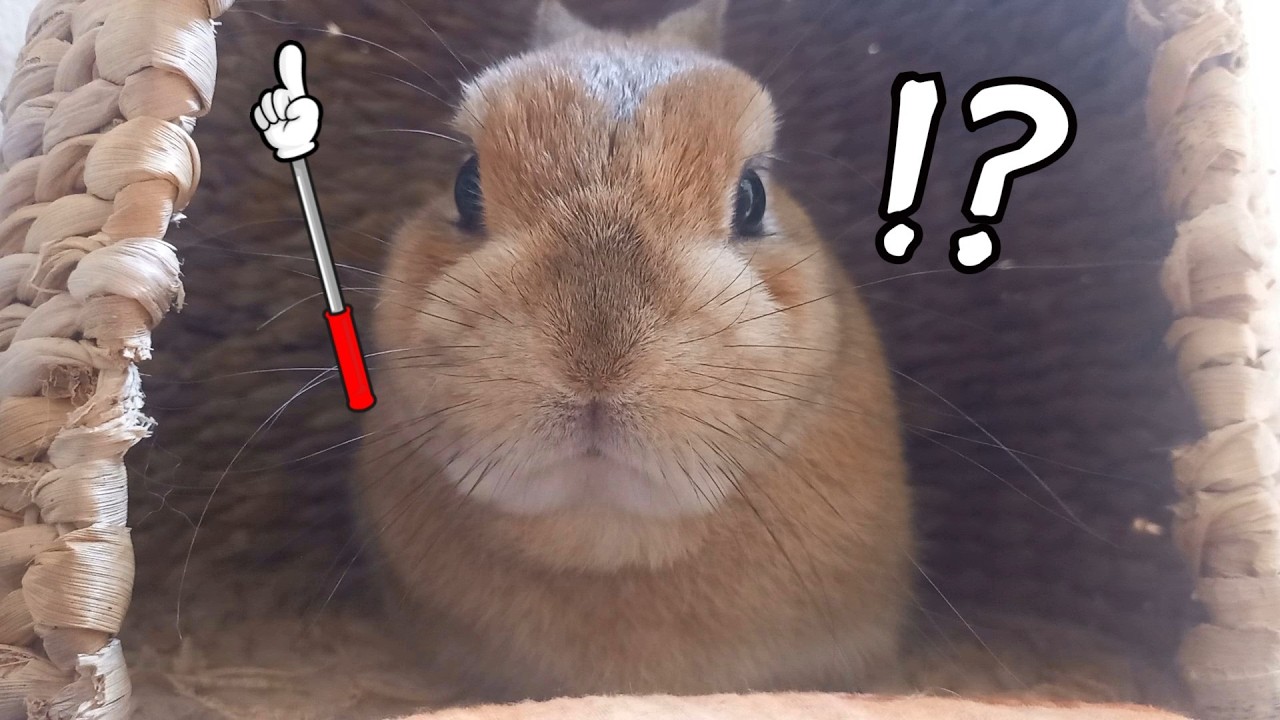 ぽっぷ・・・上！ - YouTube
