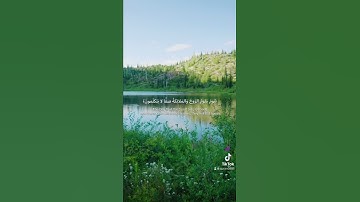 أواخر سورة النبأ تلاوة عبدالرحمن مسعد - جزء أول